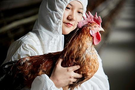 身穿防护服怀抱家禽的年轻女性饲养员