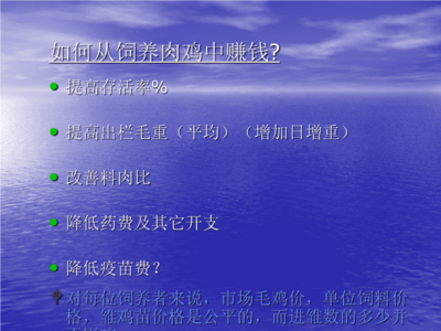 养殖技术,饲养管理 家禽 鸡